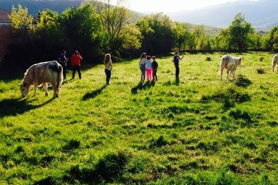 escapada familia sierra madrid