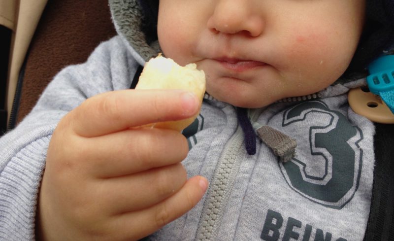 babyledweaning