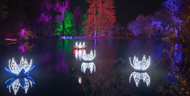 Las Luces del Real Jardín Botánico - Christmas Garden Madrid