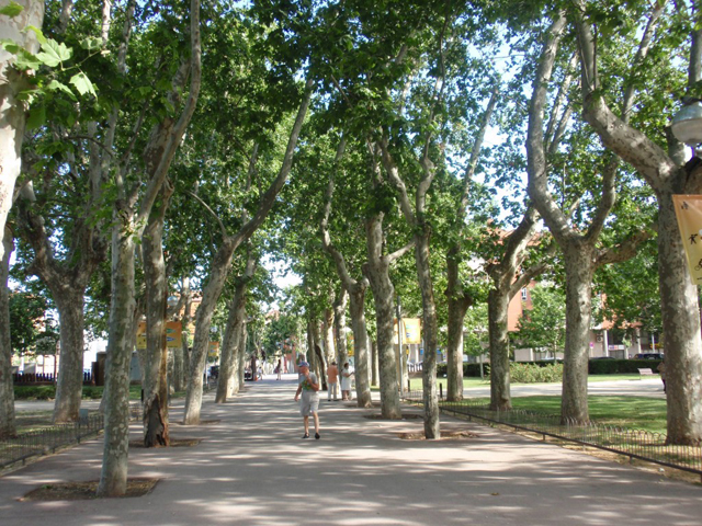 entrada parque