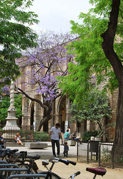 Paseo en los jardines